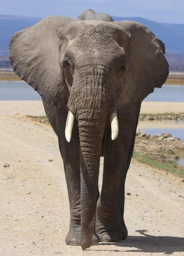 Apartmán Amboseli Redhouse Exteriér fotografie